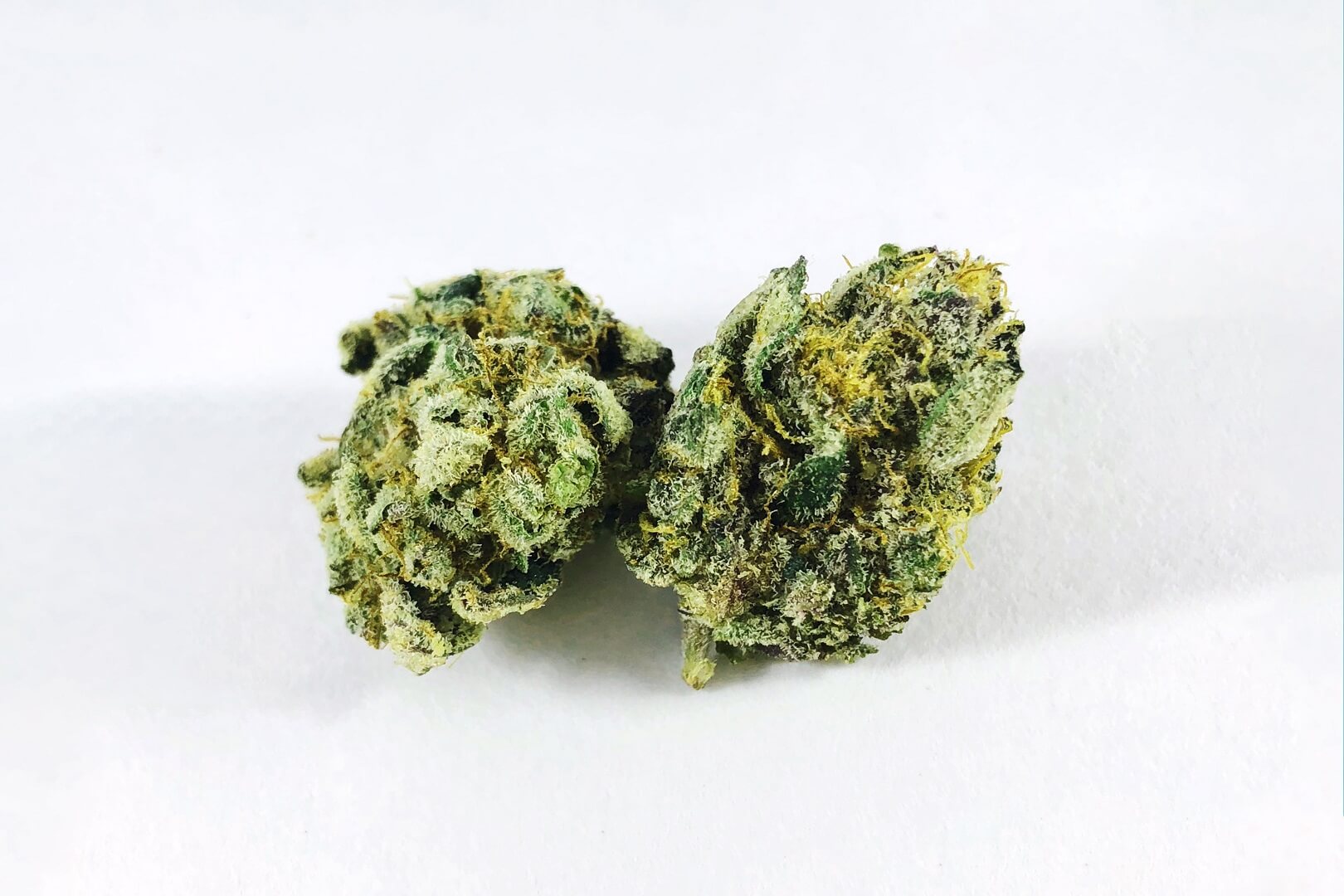 Ice Cream Cake cannabis strain reference image