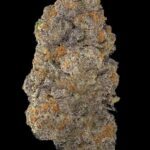 Biscotti cannabis buds reference image